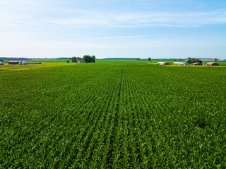 Property photo 24 - LAND AUCTION - 197.27+/-ACRES OFFERED IN 8 TRACTS IN KOSCIUSKO COUNTY, INDIANA