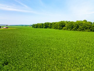 Property photo 25 - LAND AUCTION - 197.27+/-ACRES OFFERED IN 8 TRACTS IN KOSCIUSKO COUNTY, INDIANA