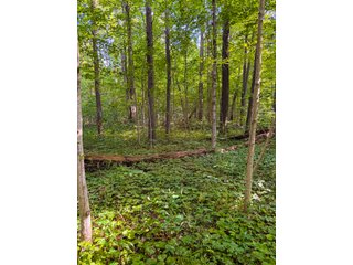 Property photo 11 - LAND AUCTION - 197.27+/-ACRES OFFERED IN 8 TRACTS IN KOSCIUSKO COUNTY, INDIANA