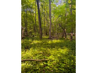 Property photo 12 - LAND AUCTION - 197.27+/-ACRES OFFERED IN 8 TRACTS IN KOSCIUSKO COUNTY, INDIANA