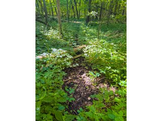 Property photo 13 - LAND AUCTION - 197.27+/-ACRES OFFERED IN 8 TRACTS IN KOSCIUSKO COUNTY, INDIANA