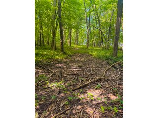 Property photo 14 - LAND AUCTION - 197.27+/-ACRES OFFERED IN 8 TRACTS IN KOSCIUSKO COUNTY, INDIANA
