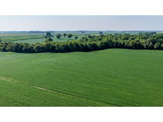 Property photo 6 - LAND AUCTION - 197.834+/-ACRES OFFERED IN 6 TRACTS IN FRANKLIN COUNTY, INDIANA