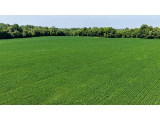 Property photo 7 - LAND AUCTION - 197.834+/-ACRES OFFERED IN 6 TRACTS IN FRANKLIN COUNTY, INDIANA