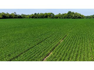 Property photo 8 - LAND AUCTION - 197.834+/-ACRES OFFERED IN 6 TRACTS IN FRANKLIN COUNTY, INDIANA