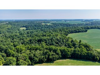 Property photo 9 - LAND AUCTION - 197.834+/-ACRES OFFERED IN 6 TRACTS IN FRANKLIN COUNTY, INDIANA