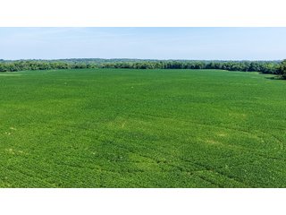 Property photo 14 - LAND AUCTION - 197.834+/-ACRES OFFERED IN 6 TRACTS IN FRANKLIN COUNTY, INDIANA