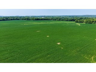 Property photo 15 - LAND AUCTION - 197.834+/-ACRES OFFERED IN 6 TRACTS IN FRANKLIN COUNTY, INDIANA