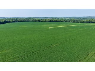 Property photo 16 - LAND AUCTION - 197.834+/-ACRES OFFERED IN 6 TRACTS IN FRANKLIN COUNTY, INDIANA