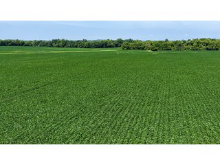 Property photo 17 - LAND AUCTION - 197.834+/-ACRES OFFERED IN 6 TRACTS IN FRANKLIN COUNTY, INDIANA