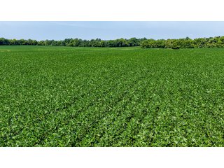 Property photo 18 - LAND AUCTION - 197.834+/-ACRES OFFERED IN 6 TRACTS IN FRANKLIN COUNTY, INDIANA