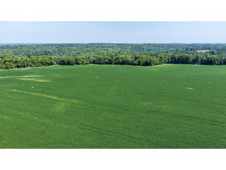 Property photo 19 - LAND AUCTION - 197.834+/-ACRES OFFERED IN 6 TRACTS IN FRANKLIN COUNTY, INDIANA