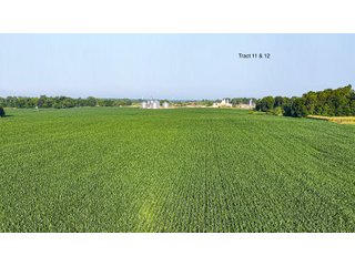 Property photo 4 - LAND AUCTION - 1,803.33+/-ACRES OFFERED IN 18 TRACTS IN KOSCIUSKO AND ELKHART COUNTY, INDIANA