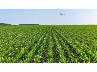 Property photo 5 - LAND AUCTION - 1,803.33+/-ACRES OFFERED IN 18 TRACTS IN KOSCIUSKO AND ELKHART COUNTY, INDIANA