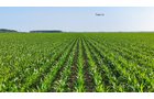 Property photo 5 - LAND AUCTION - 1,803.33+/-ACRES OFFERED IN 18 TRACTS IN KOSCIUSKO AND ELKHART COUNTY, INDIANA