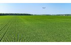 Property photo 2 - LAND AUCTION - 1,803.33+/-ACRES OFFERED IN 18 TRACTS IN KOSCIUSKO AND ELKHART COUNTY, INDIANA