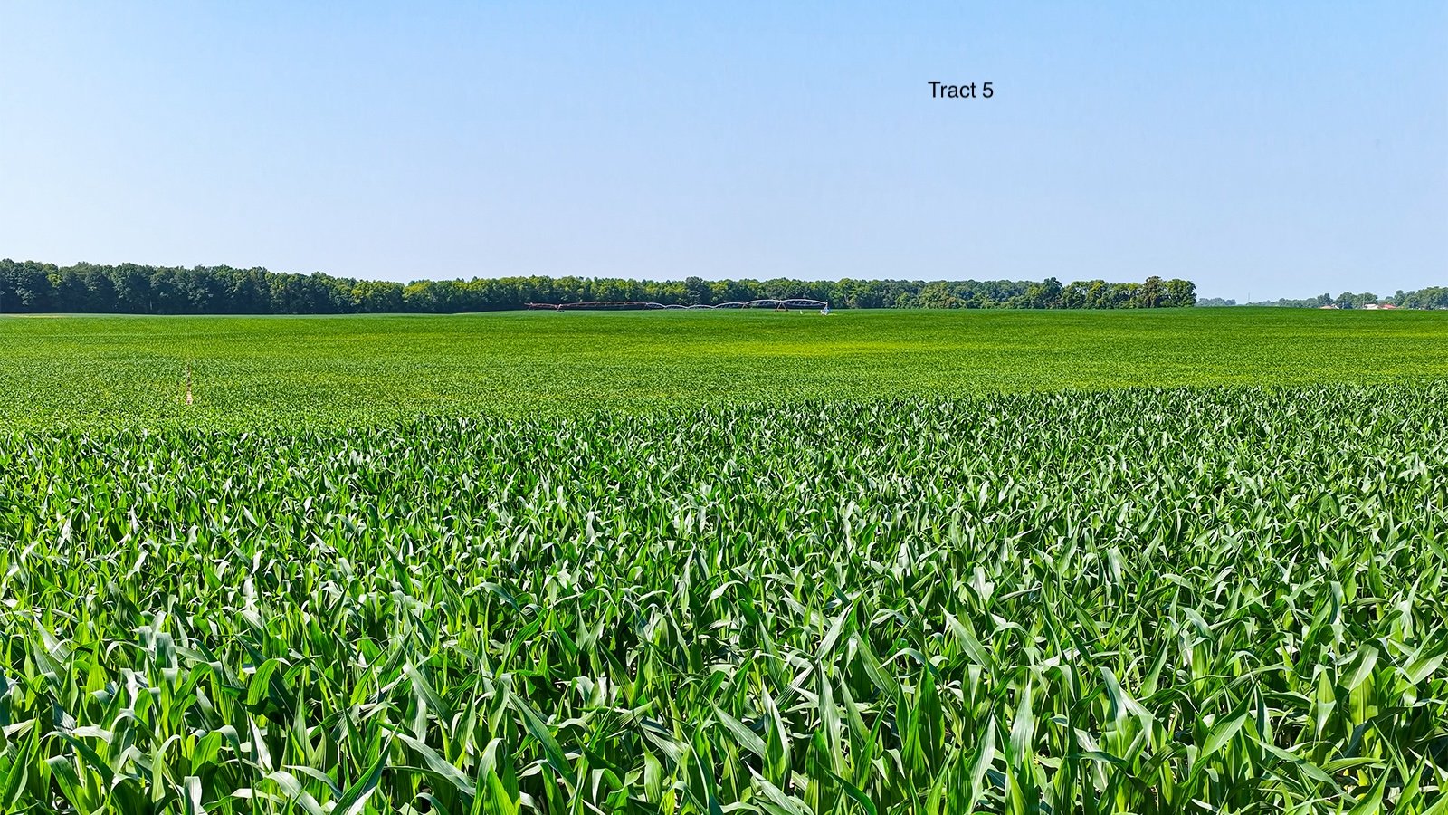 Property photo 6 - LAND AUCTION - 1,803.33+/-ACRES OFFERED IN 18 TRACTS IN KOSCIUSKO AND ELKHART COUNTY, INDIANA