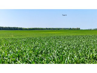 Property photo 6 - LAND AUCTION - 1,803.33+/-ACRES OFFERED IN 18 TRACTS IN KOSCIUSKO AND ELKHART COUNTY, INDIANA