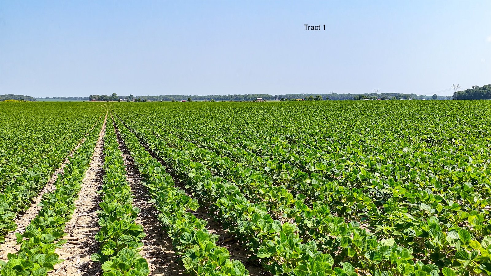 Property photo 7 - LAND AUCTION - 1,803.33+/-ACRES OFFERED IN 18 TRACTS IN KOSCIUSKO AND ELKHART COUNTY, INDIANA