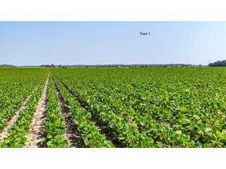 Property photo 7 - LAND AUCTION - 1,803.33+/-ACRES OFFERED IN 18 TRACTS IN KOSCIUSKO AND ELKHART COUNTY, INDIANA
