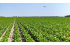 Property photo 7 - LAND AUCTION - 1,803.33+/-ACRES OFFERED IN 18 TRACTS IN KOSCIUSKO AND ELKHART COUNTY, INDIANA