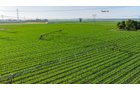 Property photo 100 - LAND AUCTION - 1,803.33+/-ACRES OFFERED IN 18 TRACTS IN KOSCIUSKO AND ELKHART COUNTY, INDIANA