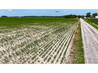 Property photo 27 - LAND AUCTION - 1,803.33+/-ACRES OFFERED IN 18 TRACTS IN KOSCIUSKO AND ELKHART COUNTY, INDIANA
