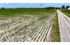 Property photo 27 - LAND AUCTION - 1,803.33+/-ACRES OFFERED IN 18 TRACTS IN KOSCIUSKO AND ELKHART COUNTY, INDIANA