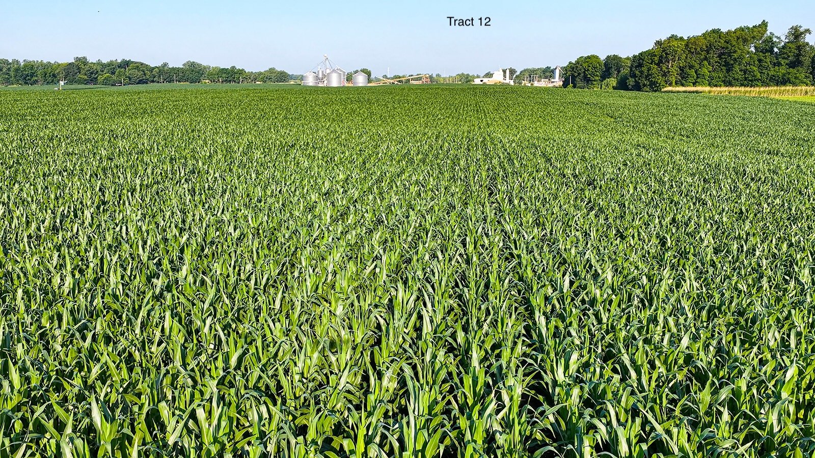 Property photo 93 - LAND AUCTION - 1,803.33+/-ACRES OFFERED IN 18 TRACTS IN KOSCIUSKO AND ELKHART COUNTY, INDIANA