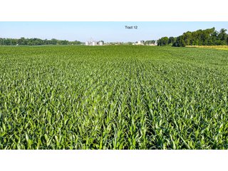 Property photo 93 - LAND AUCTION - 1,803.33+/-ACRES OFFERED IN 18 TRACTS IN KOSCIUSKO AND ELKHART COUNTY, INDIANA