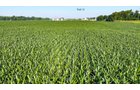 Property photo 93 - LAND AUCTION - 1,803.33+/-ACRES OFFERED IN 18 TRACTS IN KOSCIUSKO AND ELKHART COUNTY, INDIANA