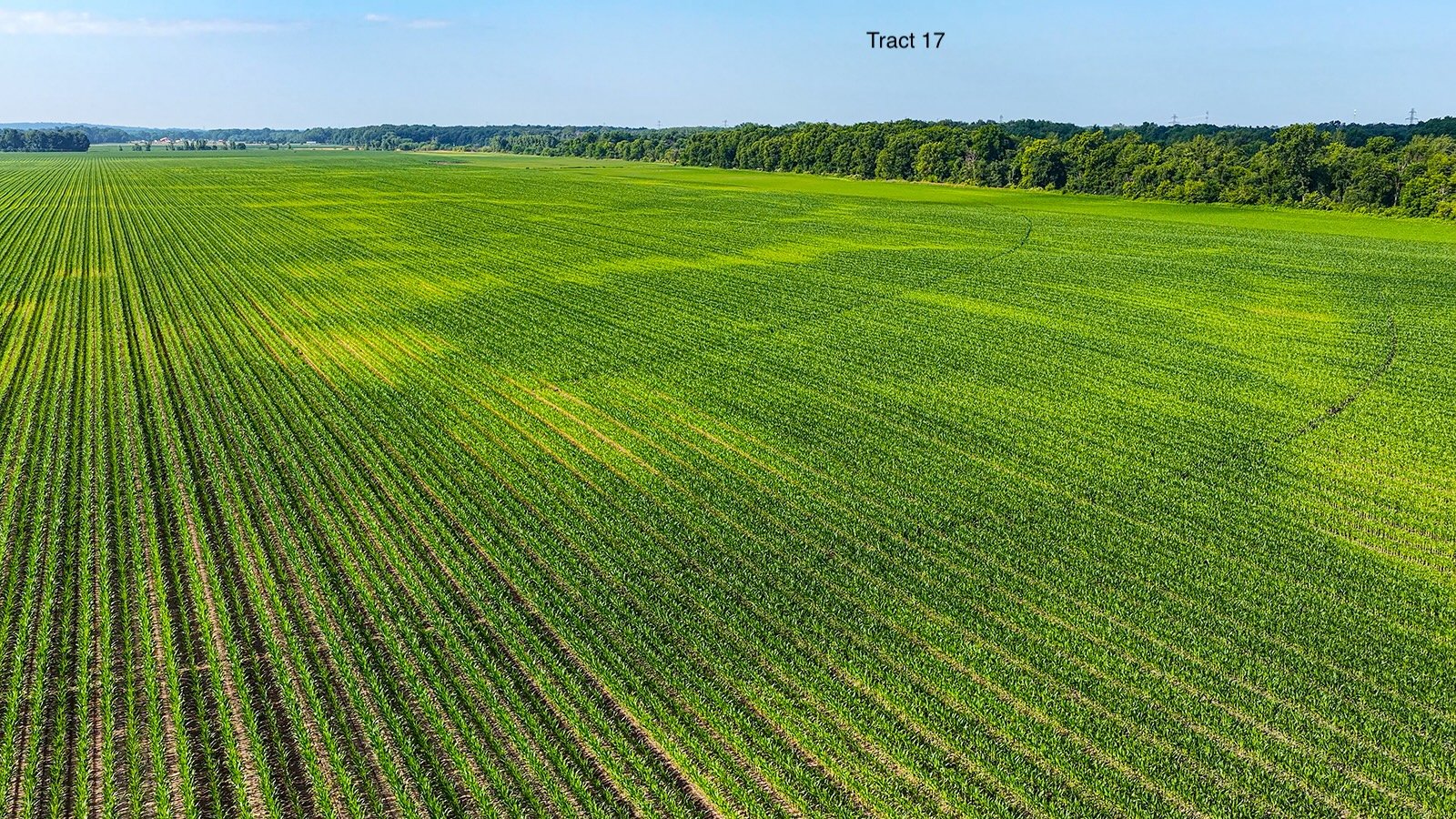 Property photo 134 - LAND AUCTION - 1,803.33+/-ACRES OFFERED IN 18 TRACTS IN KOSCIUSKO AND ELKHART COUNTY, INDIANA