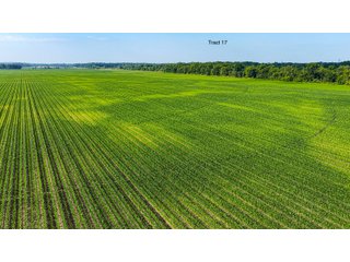 Property photo 134 - LAND AUCTION - 1,803.33+/-ACRES OFFERED IN 18 TRACTS IN KOSCIUSKO AND ELKHART COUNTY, INDIANA