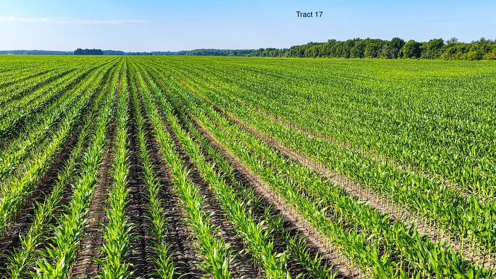 Property photo 136 - LAND AUCTION - 1,803.33+/-ACRES OFFERED IN 18 TRACTS IN KOSCIUSKO AND ELKHART COUNTY, INDIANA