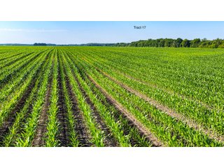 Property photo 136 - LAND AUCTION - 1,803.33+/-ACRES OFFERED IN 18 TRACTS IN KOSCIUSKO AND ELKHART COUNTY, INDIANA