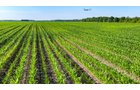 Property photo 136 - LAND AUCTION - 1,803.33+/-ACRES OFFERED IN 18 TRACTS IN KOSCIUSKO AND ELKHART COUNTY, INDIANA