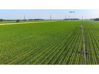 Property photo 101 - LAND AUCTION - 1,803.33+/-ACRES OFFERED IN 18 TRACTS IN KOSCIUSKO AND ELKHART COUNTY, INDIANA