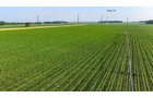 Property photo 101 - LAND AUCTION - 1,803.33+/-ACRES OFFERED IN 18 TRACTS IN KOSCIUSKO AND ELKHART COUNTY, INDIANA