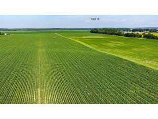 Property photo 149 - LAND AUCTION - 1,803.33+/-ACRES OFFERED IN 18 TRACTS IN KOSCIUSKO AND ELKHART COUNTY, INDIANA