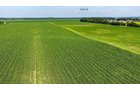 Property photo 149 - LAND AUCTION - 1,803.33+/-ACRES OFFERED IN 18 TRACTS IN KOSCIUSKO AND ELKHART COUNTY, INDIANA