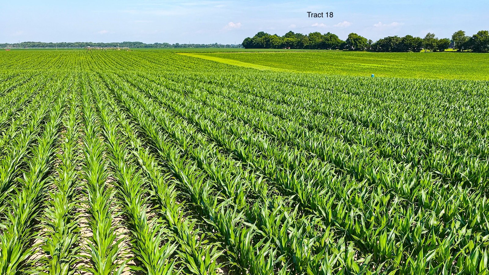 Property photo 150 - LAND AUCTION - 1,803.33+/-ACRES OFFERED IN 18 TRACTS IN KOSCIUSKO AND ELKHART COUNTY, INDIANA