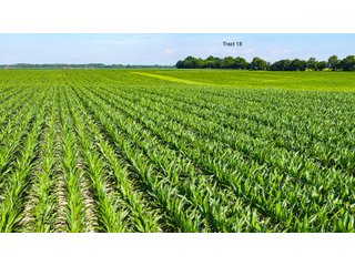 Property photo 150 - LAND AUCTION - 1,803.33+/-ACRES OFFERED IN 18 TRACTS IN KOSCIUSKO AND ELKHART COUNTY, INDIANA