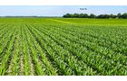 Property photo 150 - LAND AUCTION - 1,803.33+/-ACRES OFFERED IN 18 TRACTS IN KOSCIUSKO AND ELKHART COUNTY, INDIANA