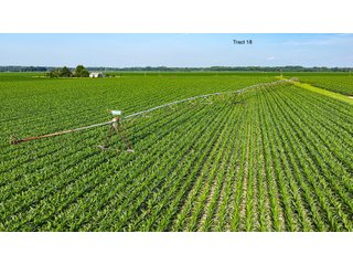 Property photo 151 - LAND AUCTION - 1,803.33+/-ACRES OFFERED IN 18 TRACTS IN KOSCIUSKO AND ELKHART COUNTY, INDIANA