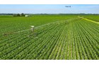 Property photo 151 - LAND AUCTION - 1,803.33+/-ACRES OFFERED IN 18 TRACTS IN KOSCIUSKO AND ELKHART COUNTY, INDIANA