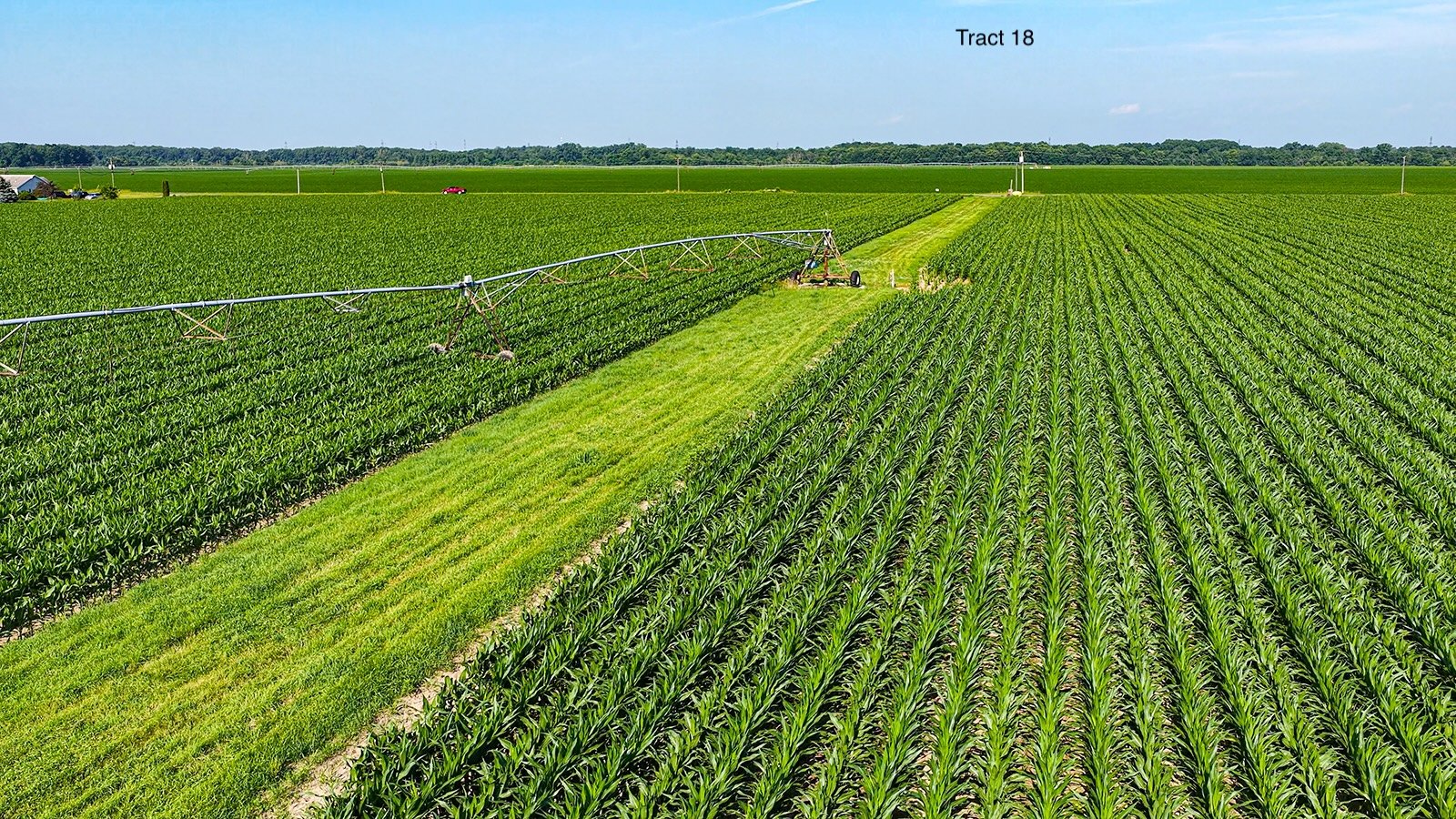 Property photo 152 - LAND AUCTION - 1,803.33+/-ACRES OFFERED IN 18 TRACTS IN KOSCIUSKO AND ELKHART COUNTY, INDIANA