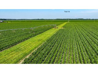 Property photo 152 - LAND AUCTION - 1,803.33+/-ACRES OFFERED IN 18 TRACTS IN KOSCIUSKO AND ELKHART COUNTY, INDIANA