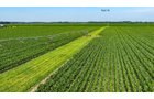 Property photo 152 - LAND AUCTION - 1,803.33+/-ACRES OFFERED IN 18 TRACTS IN KOSCIUSKO AND ELKHART COUNTY, INDIANA