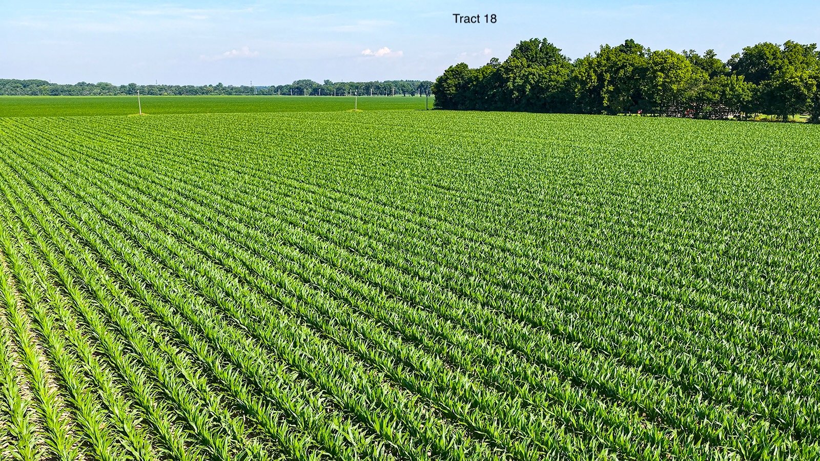 Property photo 153 - LAND AUCTION - 1,803.33+/-ACRES OFFERED IN 18 TRACTS IN KOSCIUSKO AND ELKHART COUNTY, INDIANA