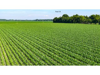 Property photo 153 - LAND AUCTION - 1,803.33+/-ACRES OFFERED IN 18 TRACTS IN KOSCIUSKO AND ELKHART COUNTY, INDIANA